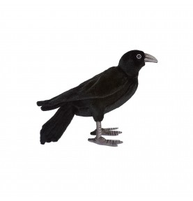 Peluche corbeau - 18 cm signée Anima